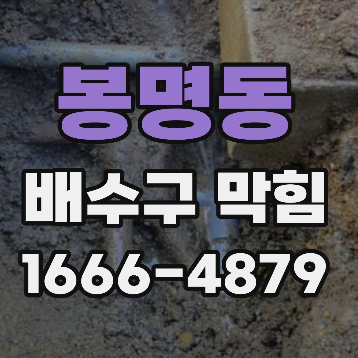 봉명동 배수구 막힘