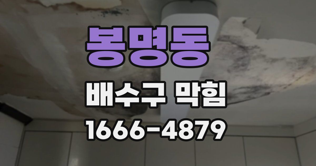 봉명동 배수구 막힘