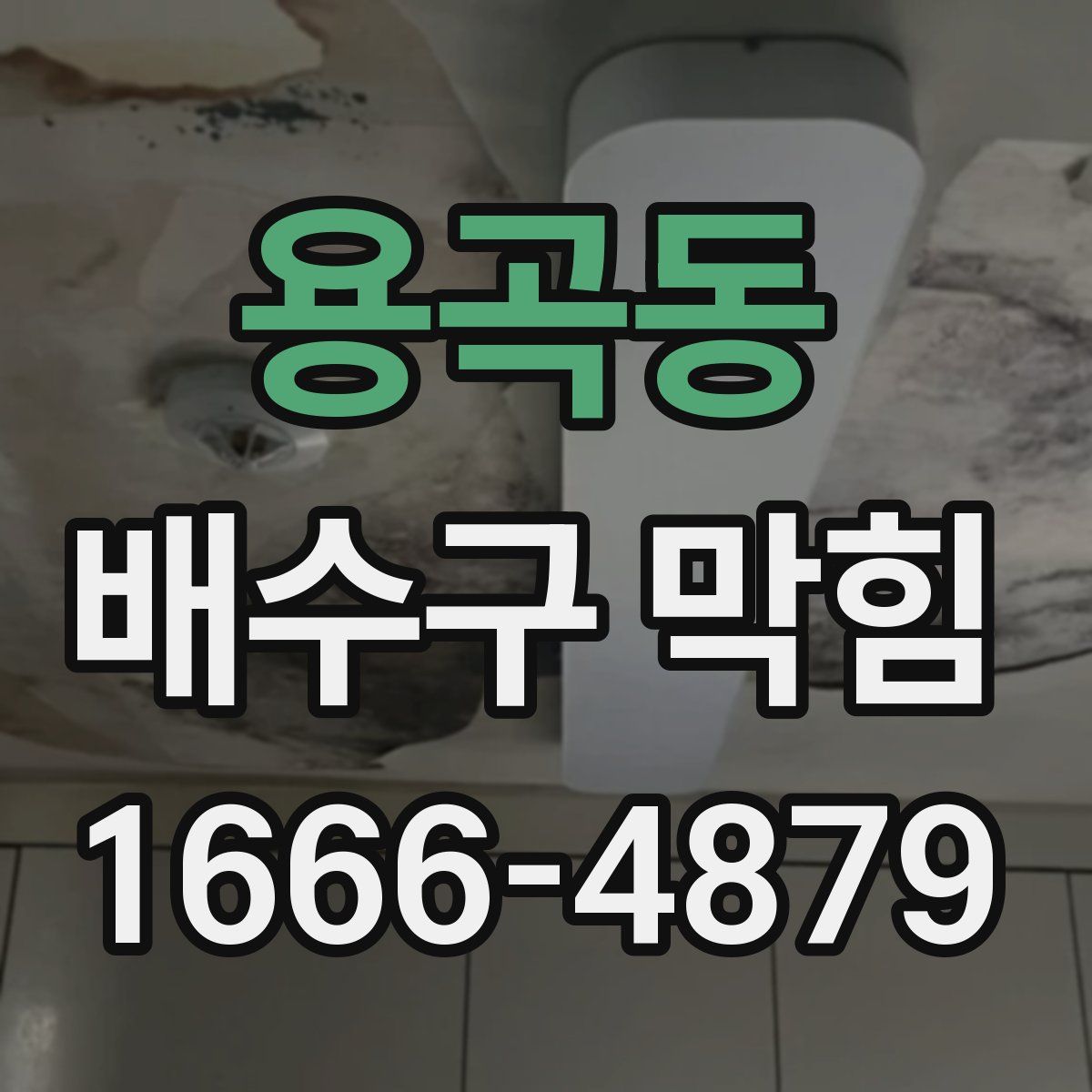 용곡동 배수구 막힘