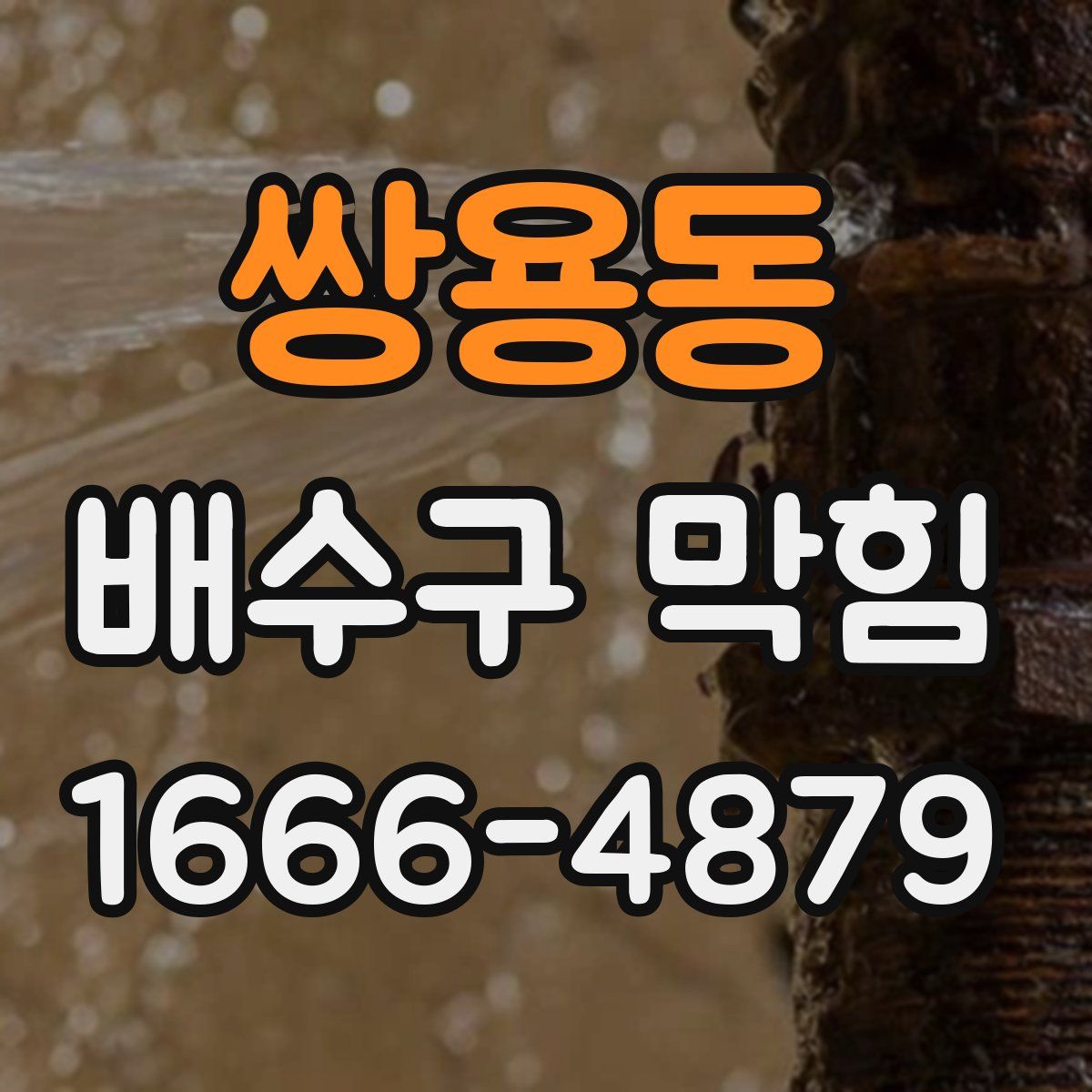 쌍용동 배수구 막힘