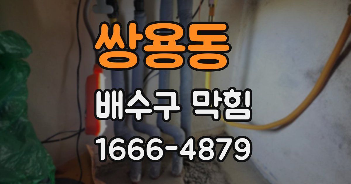 쌍용동 배수구 막힘