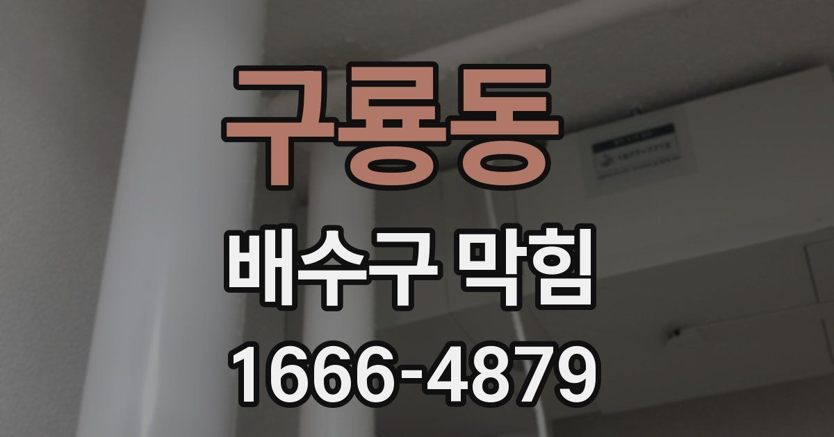 구룡동 배수구 막힘