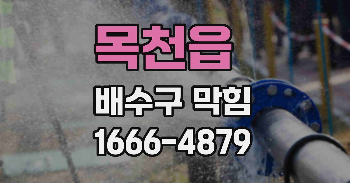 목천읍 배수구 막힘