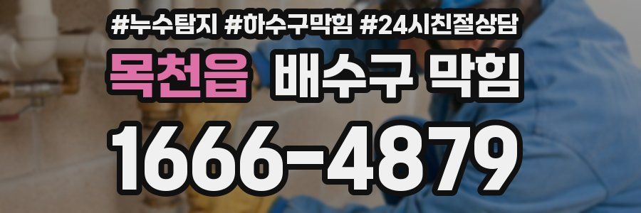 목천읍 배수구 막힘