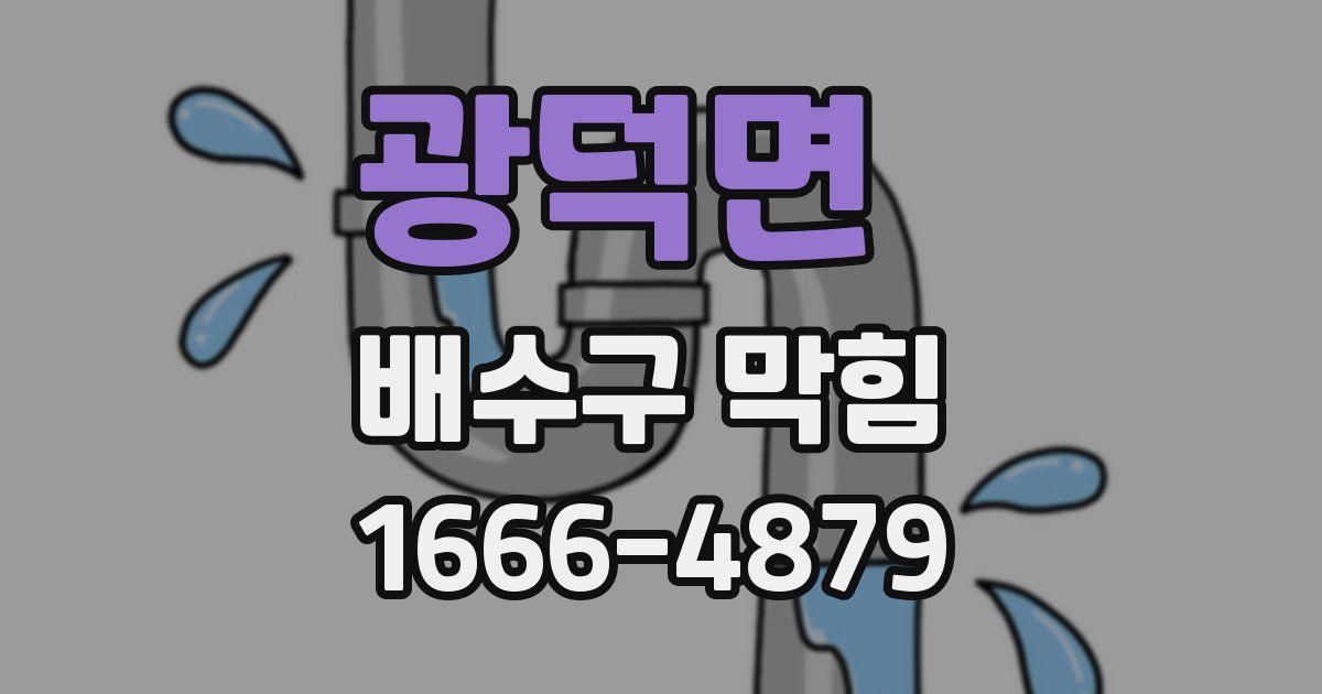 광덕면 배수구 막힘