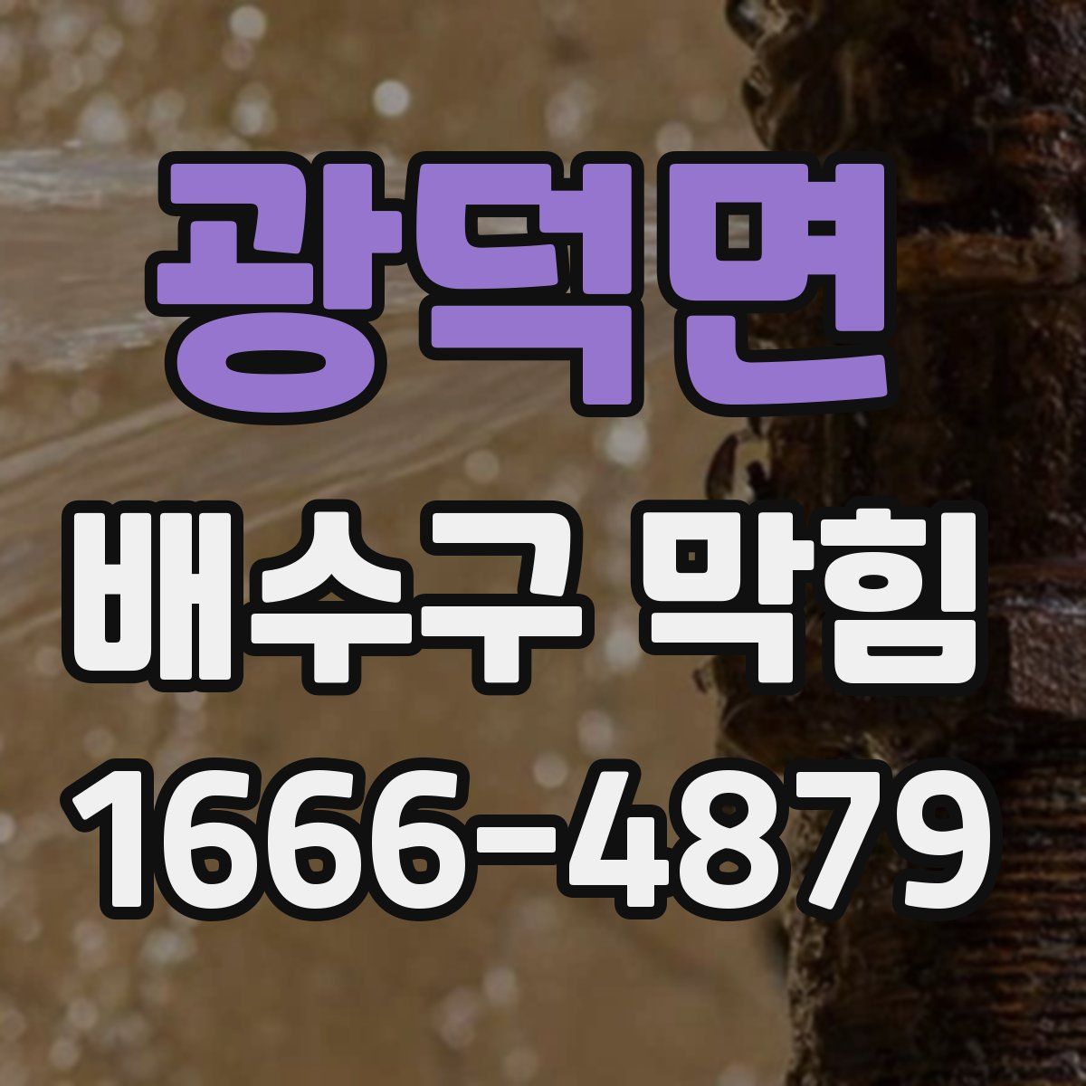 광덕면 배수구 막힘