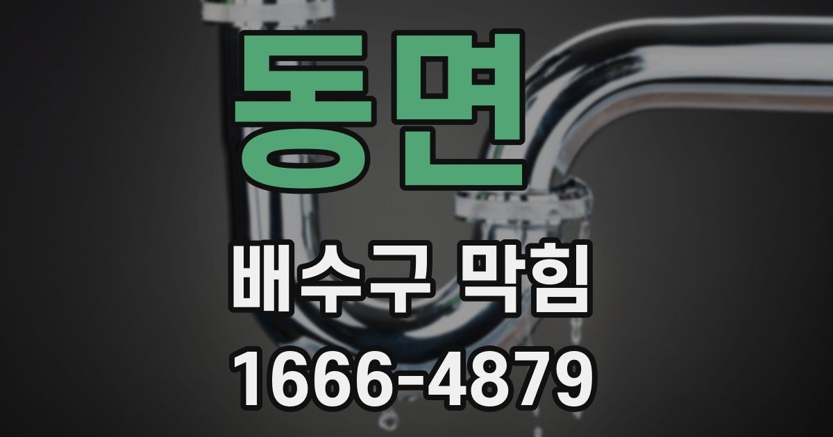 동면 배수구 막힘