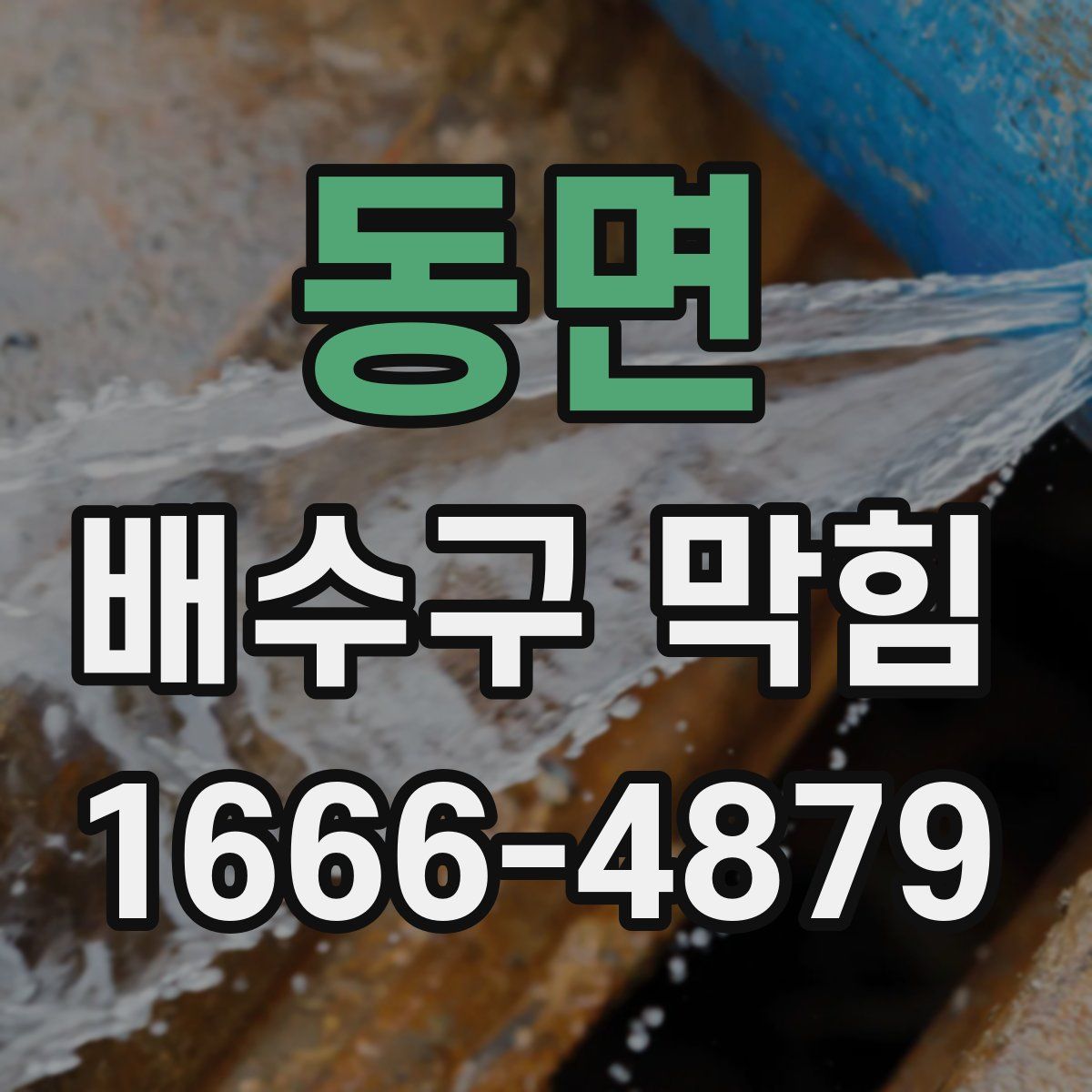 동면 배수구 막힘