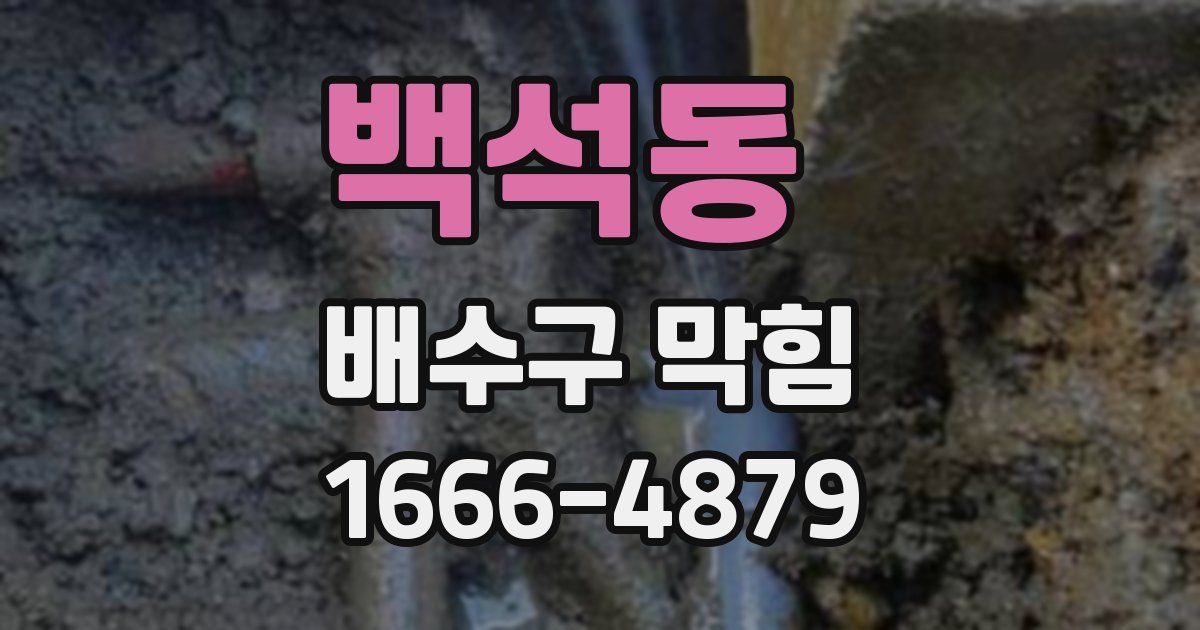 백석동 배수구 막힘