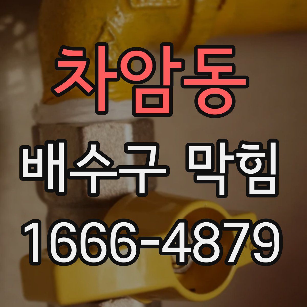 차암동 배수구 막힘