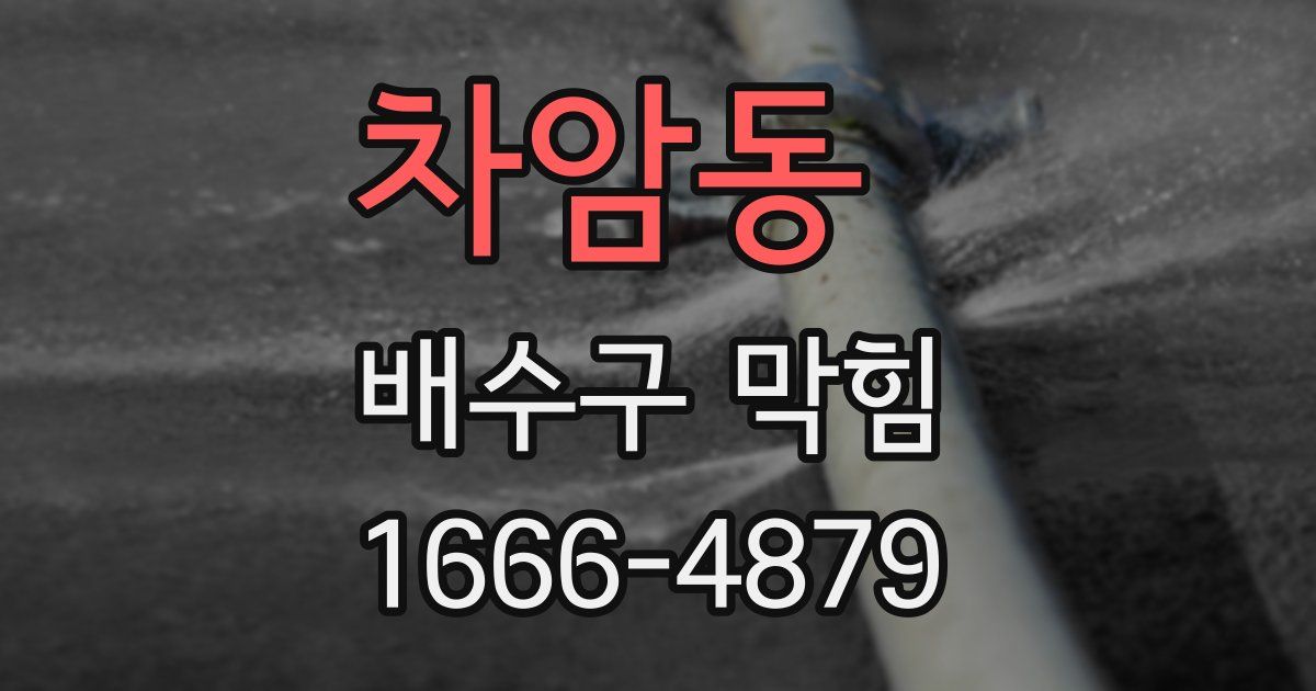 차암동 배수구 막힘