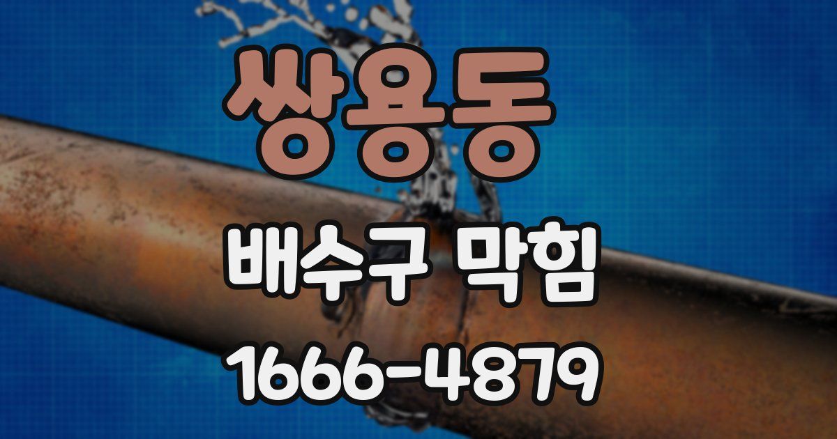 쌍용동 배수구 막힘