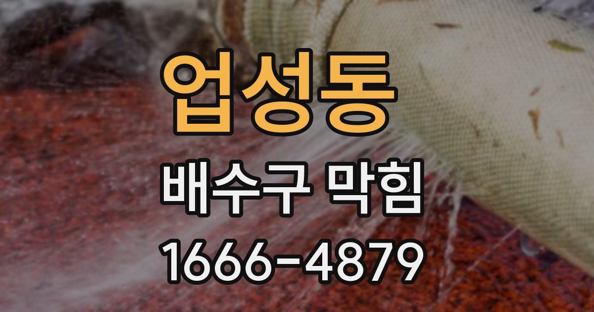 업성동 배수구 막힘
