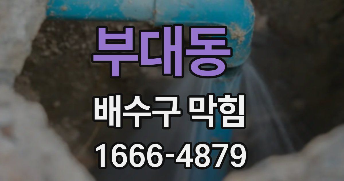 부대동 배수구 막힘