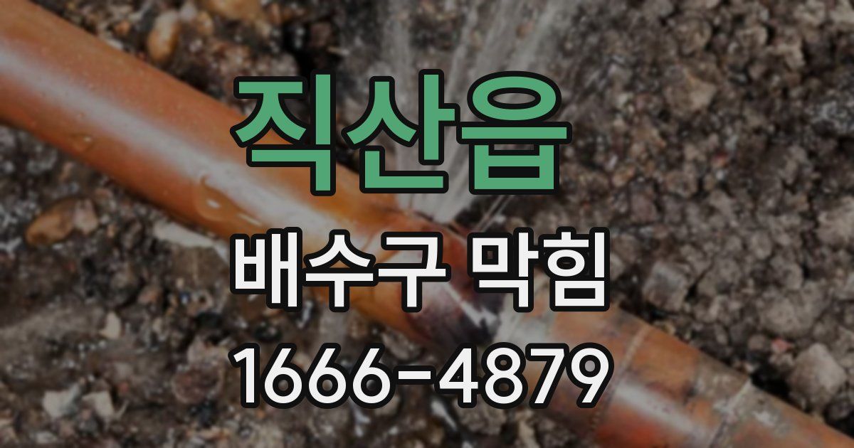 직산읍 배수구 막힘