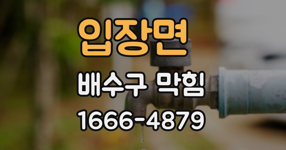 입장면 배수구 막힘