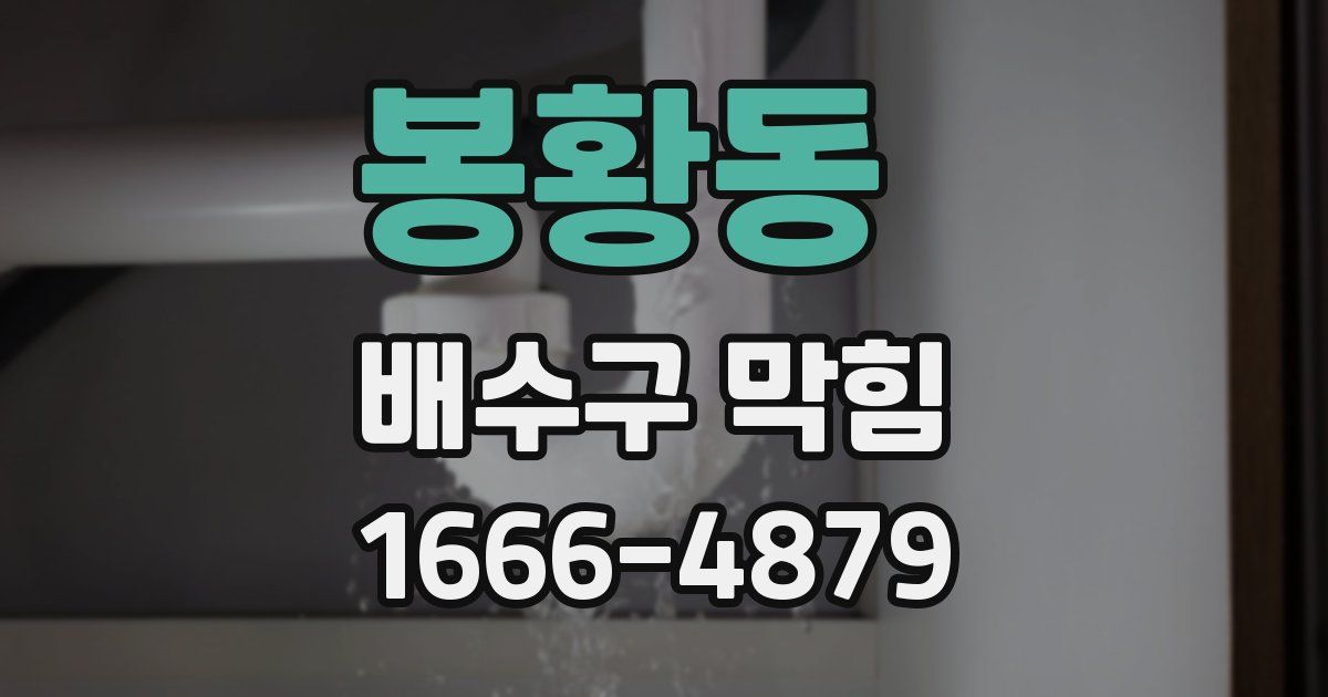 봉황동 배수구 막힘