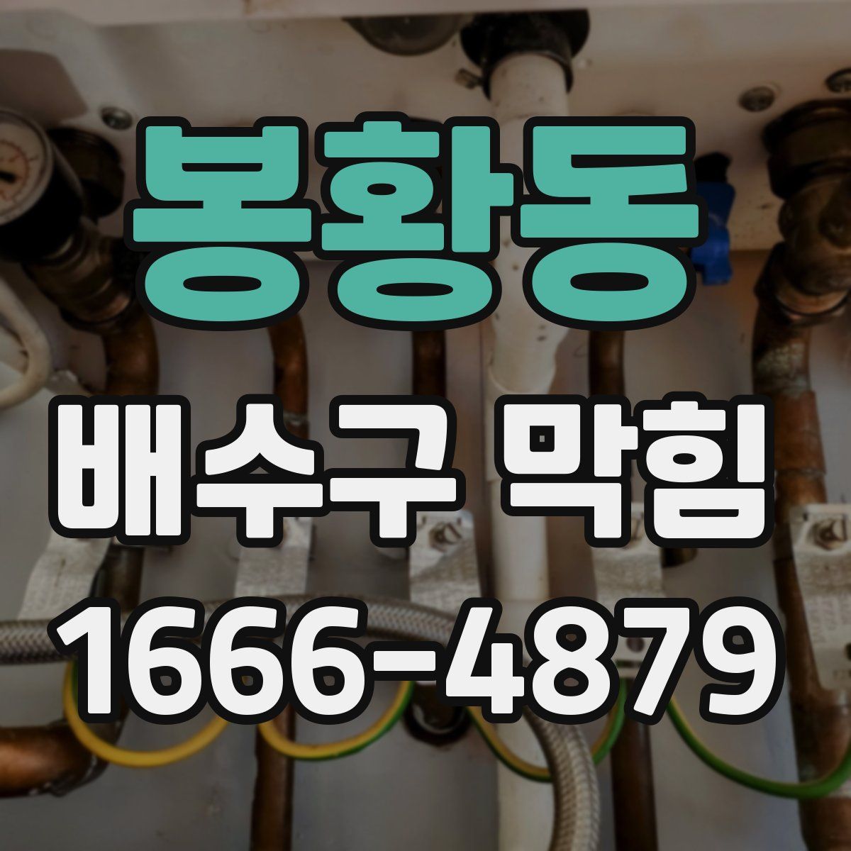 봉황동 배수구 막힘