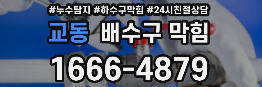교동 배수구 막힘
