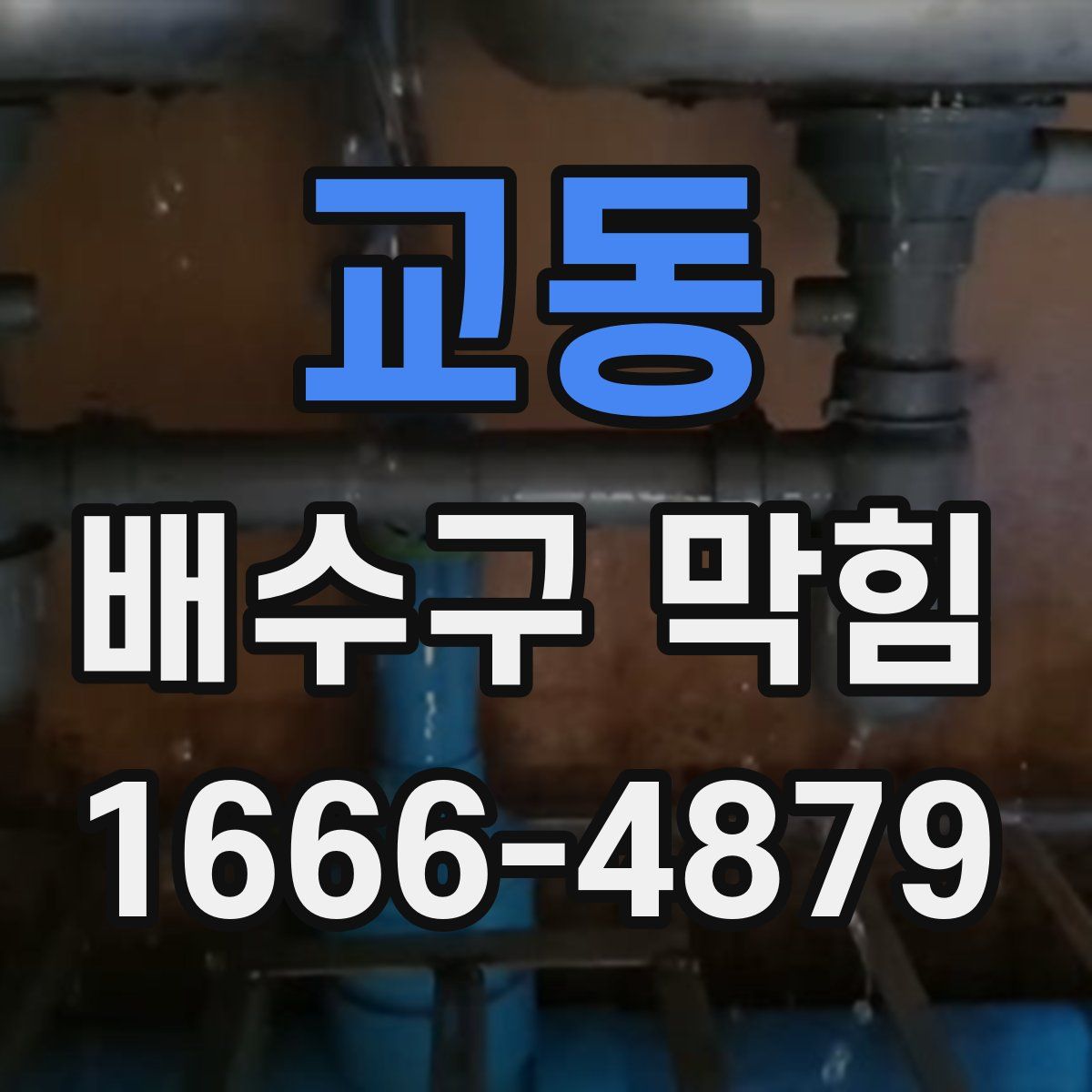 교동 배수구 막힘
