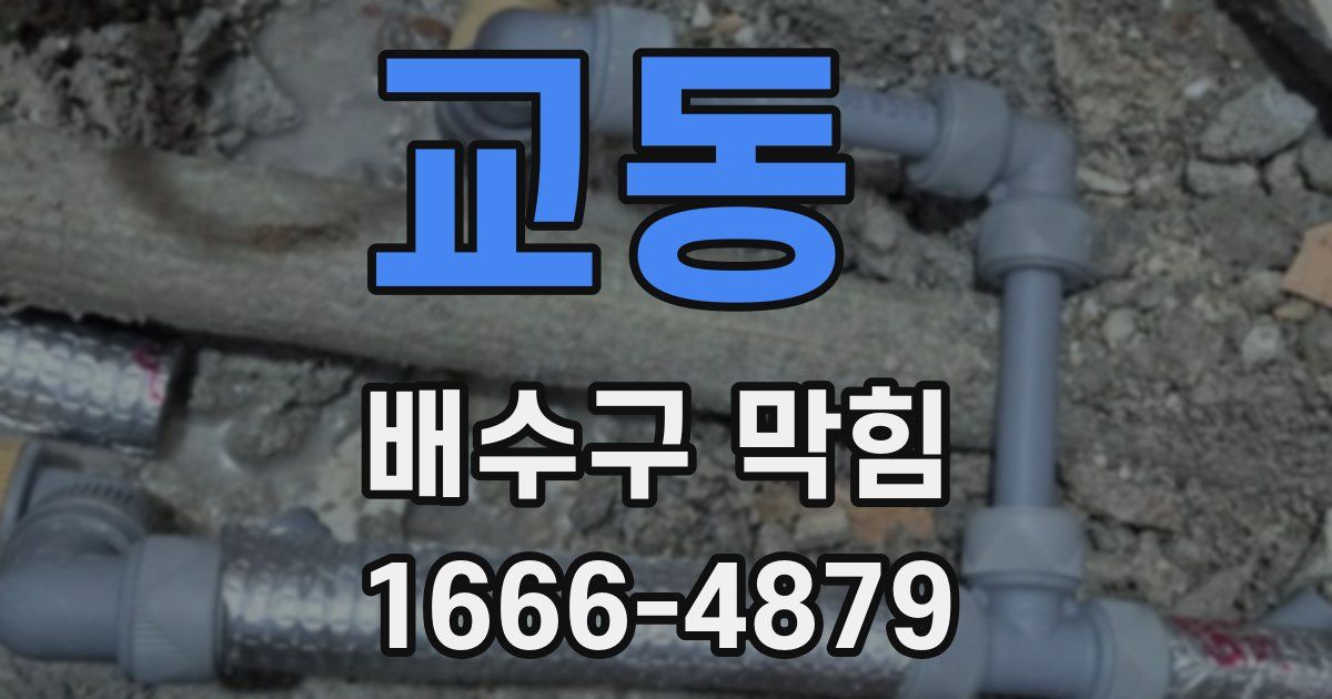 교동 배수구 막힘