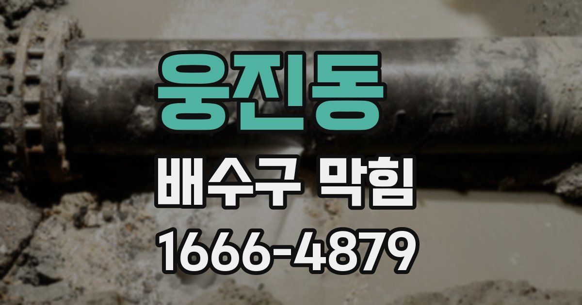 웅진동 배수구 막힘