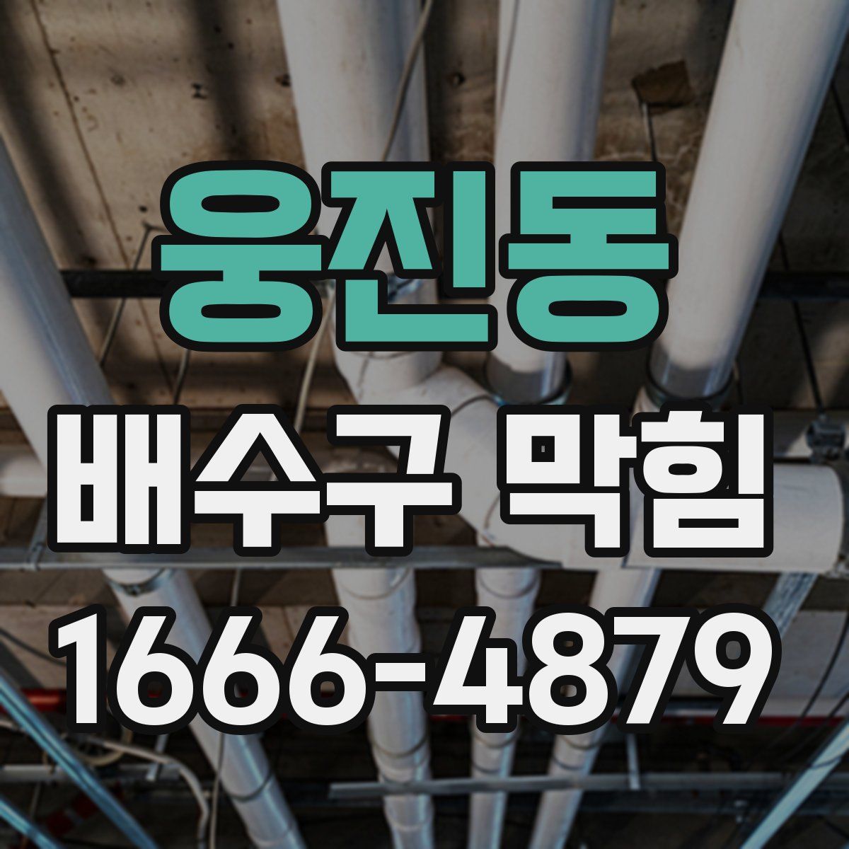 웅진동 배수구 막힘