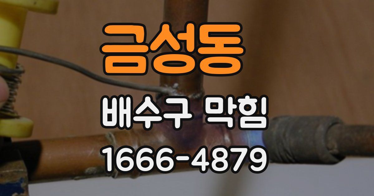 금성동 배수구 막힘