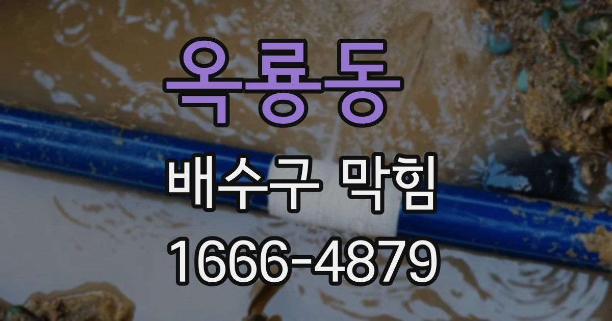 옥룡동 배수구 막힘
