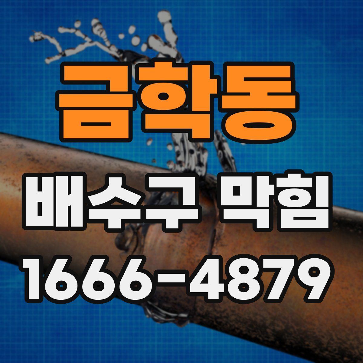 금학동 배수구 막힘