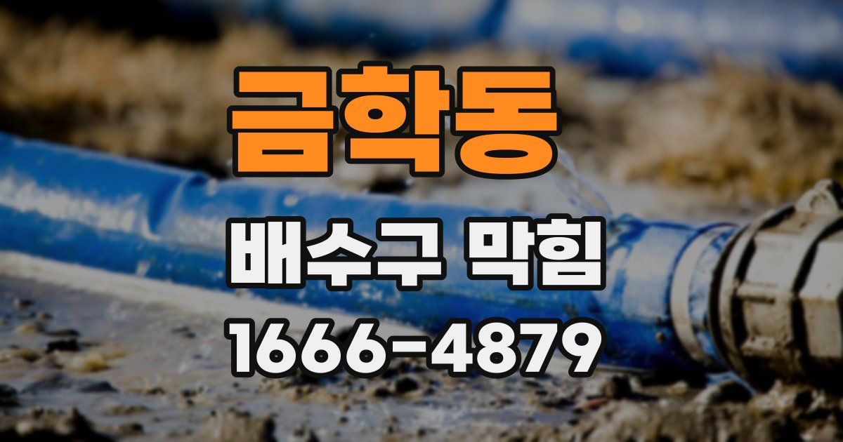 금학동 배수구 막힘
