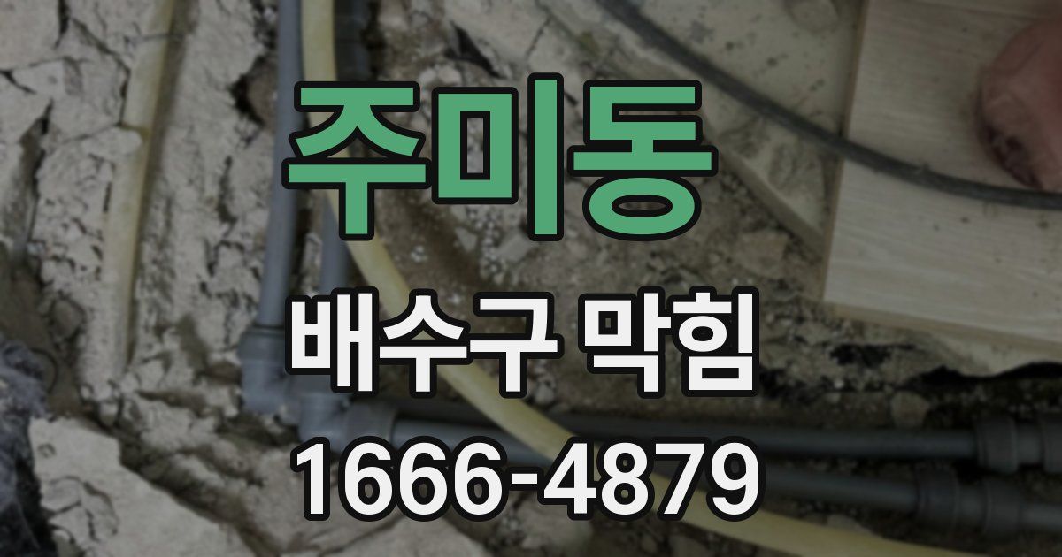 주미동 배수구 막힘