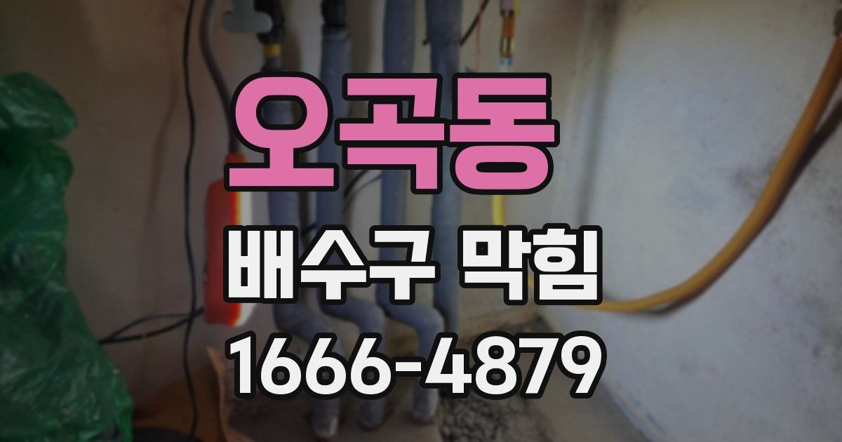 오곡동 배수구 막힘
