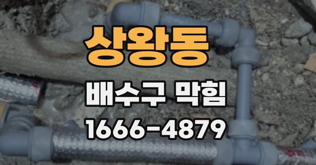 상왕동 배수구 막힘