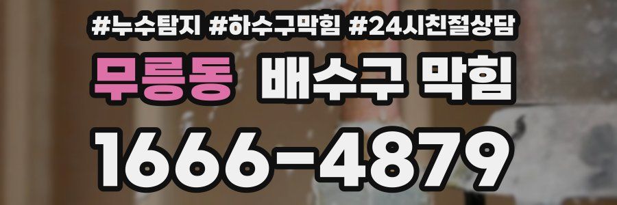 무릉동 배수구 막힘
