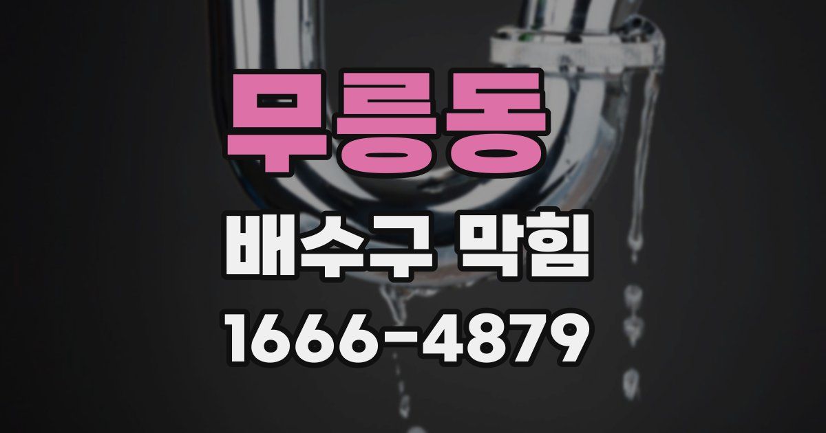 무릉동 배수구 막힘