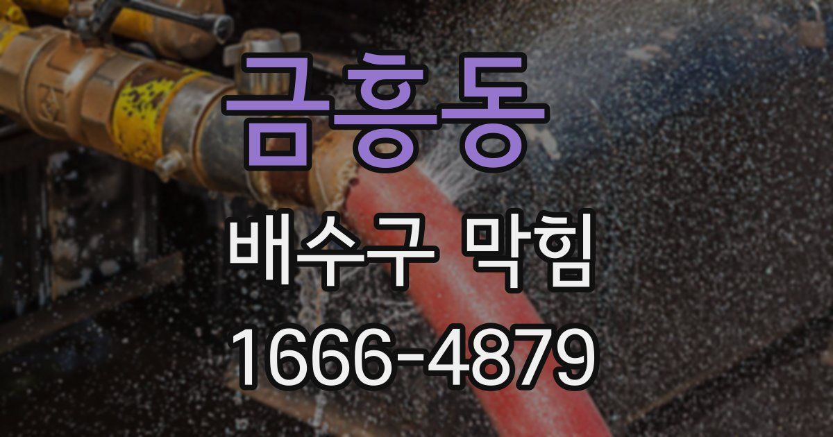 금흥동 배수구 막힘