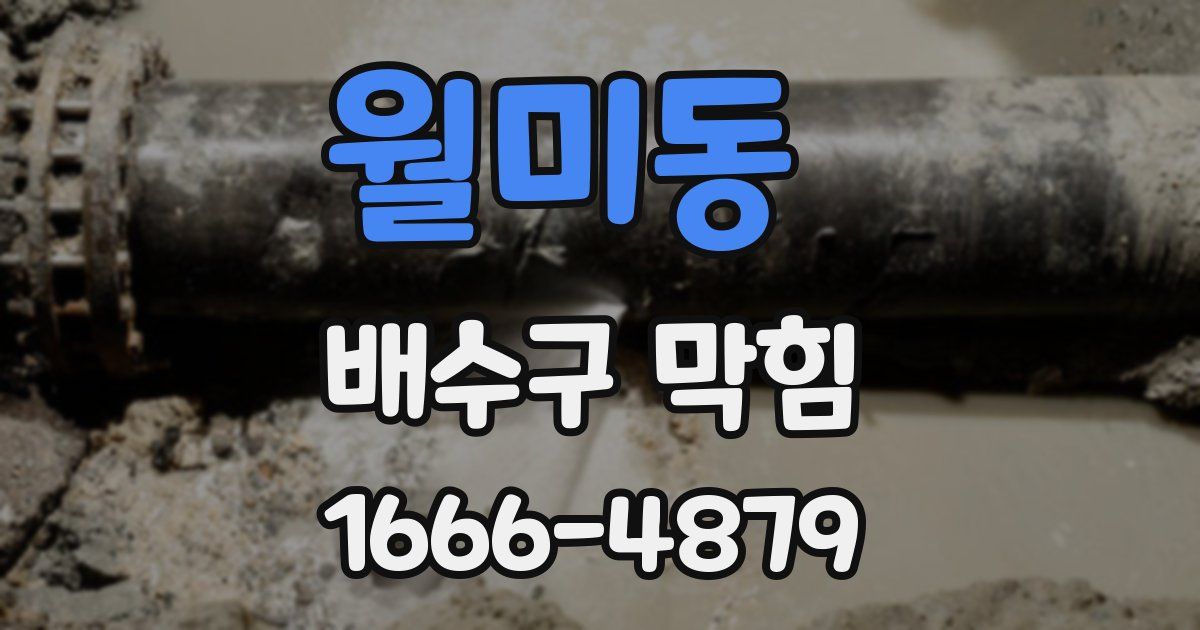 월미동 배수구 막힘