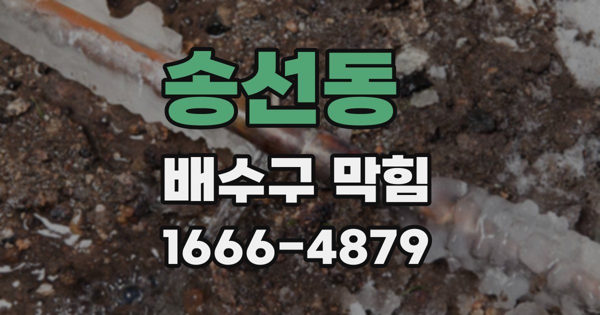송선동 배수구 막힘