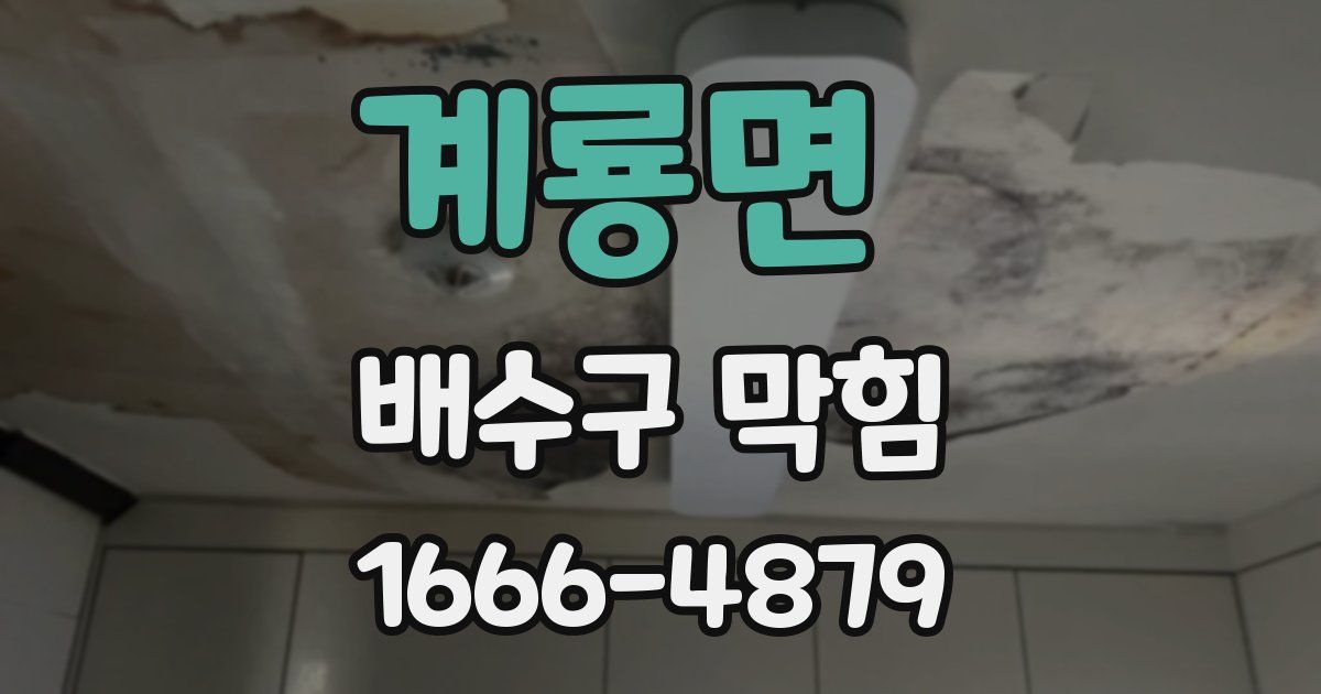 계룡면 배수구 막힘
