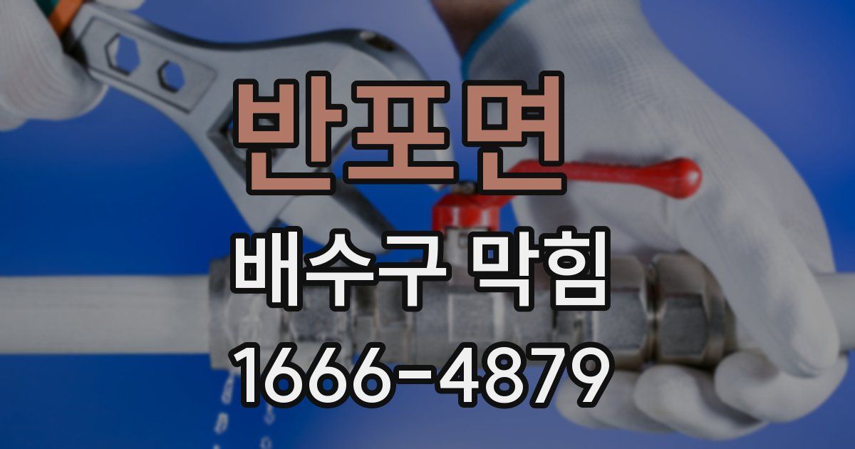 반포면 배수구 막힘