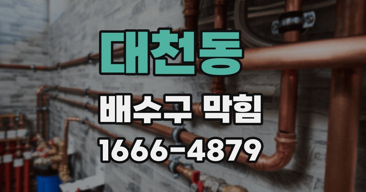 대천동 배수구 막힘