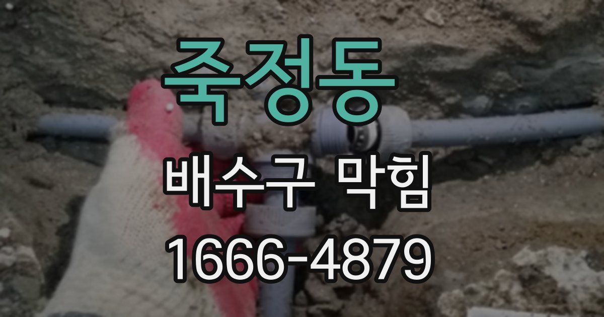 죽정동 배수구 막힘