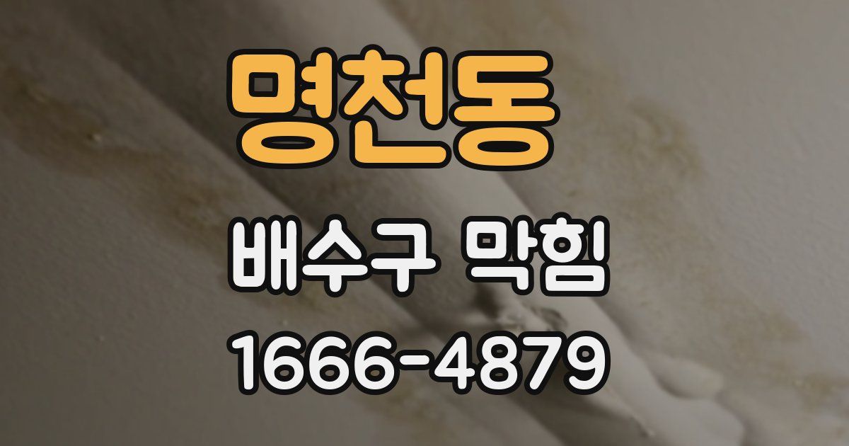 명천동 배수구 막힘
