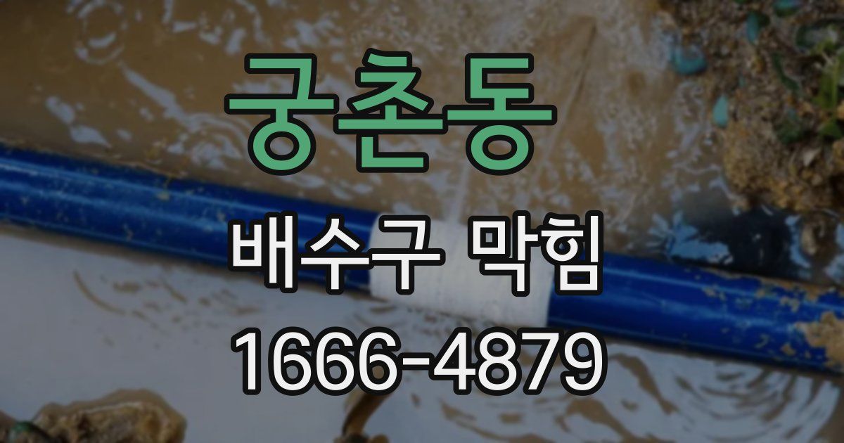 궁촌동 배수구 막힘