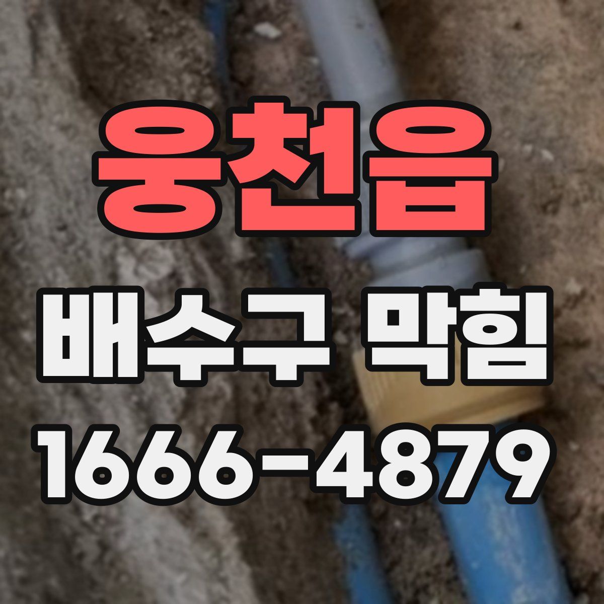 웅천읍 배수구 막힘