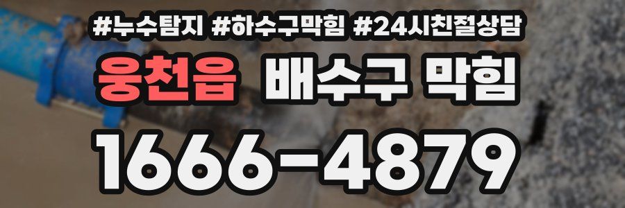 웅천읍 배수구 막힘