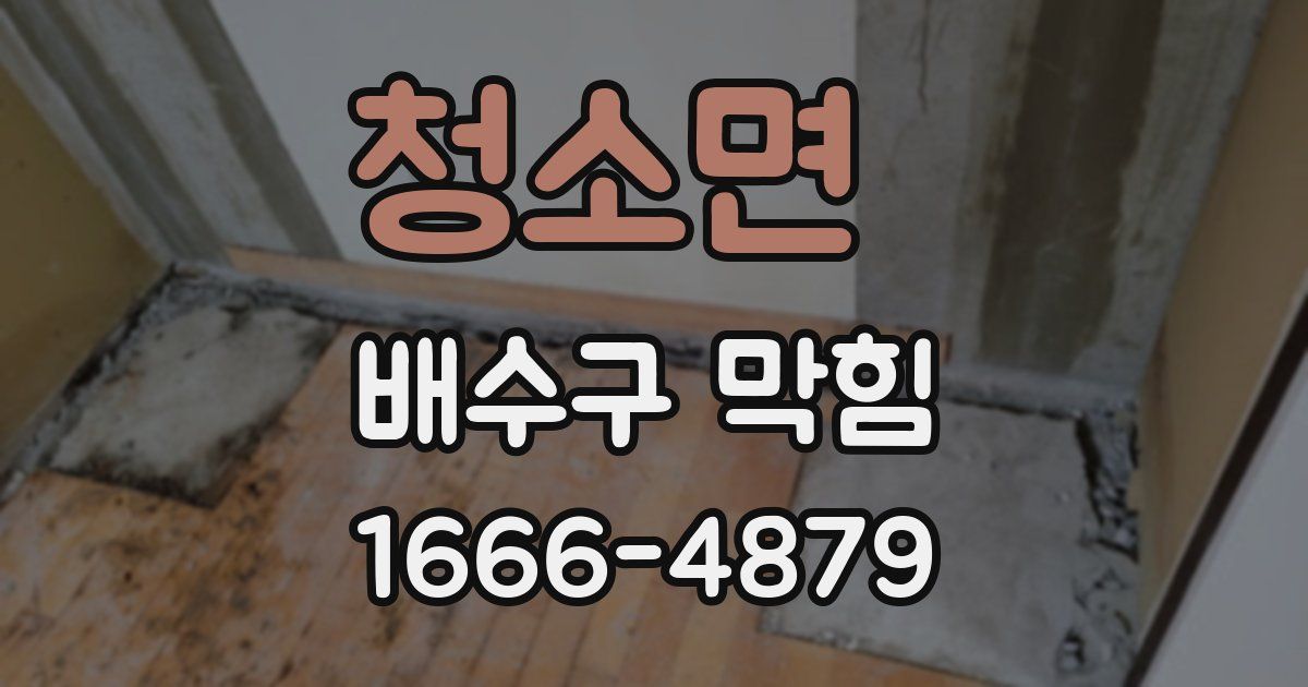 청소면 배수구 막힘