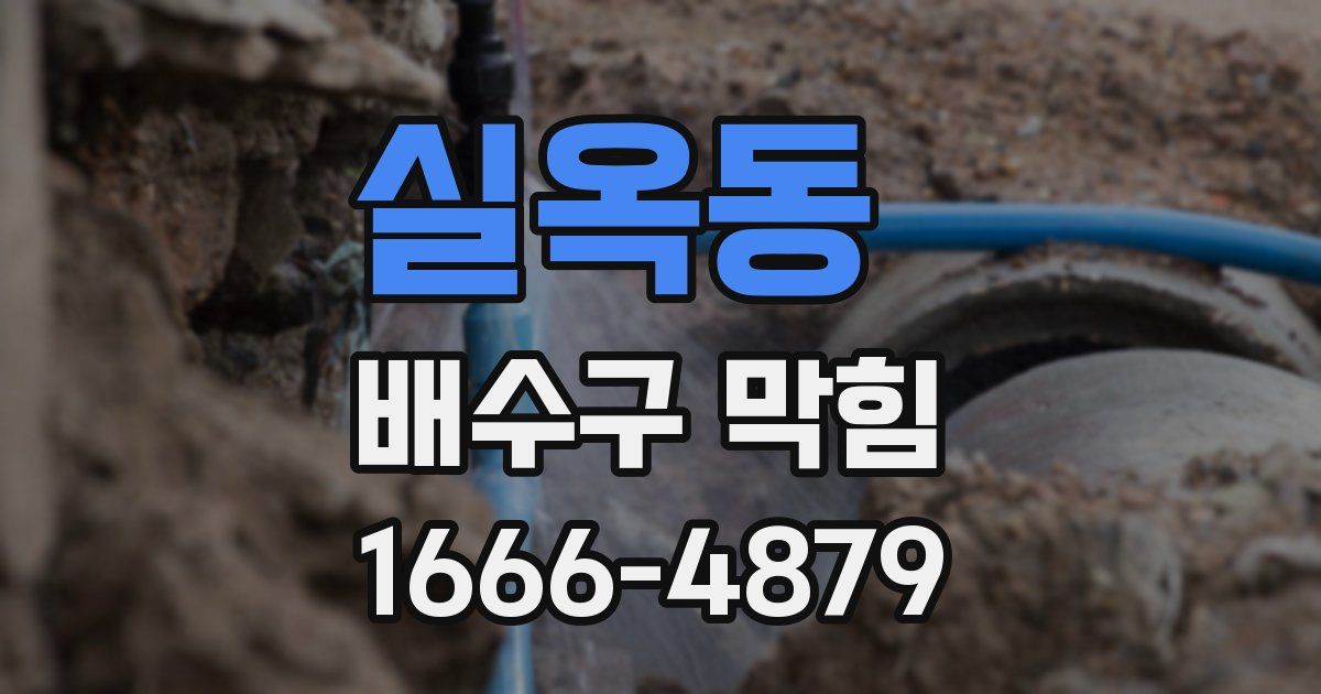 실옥동 배수구 막힘