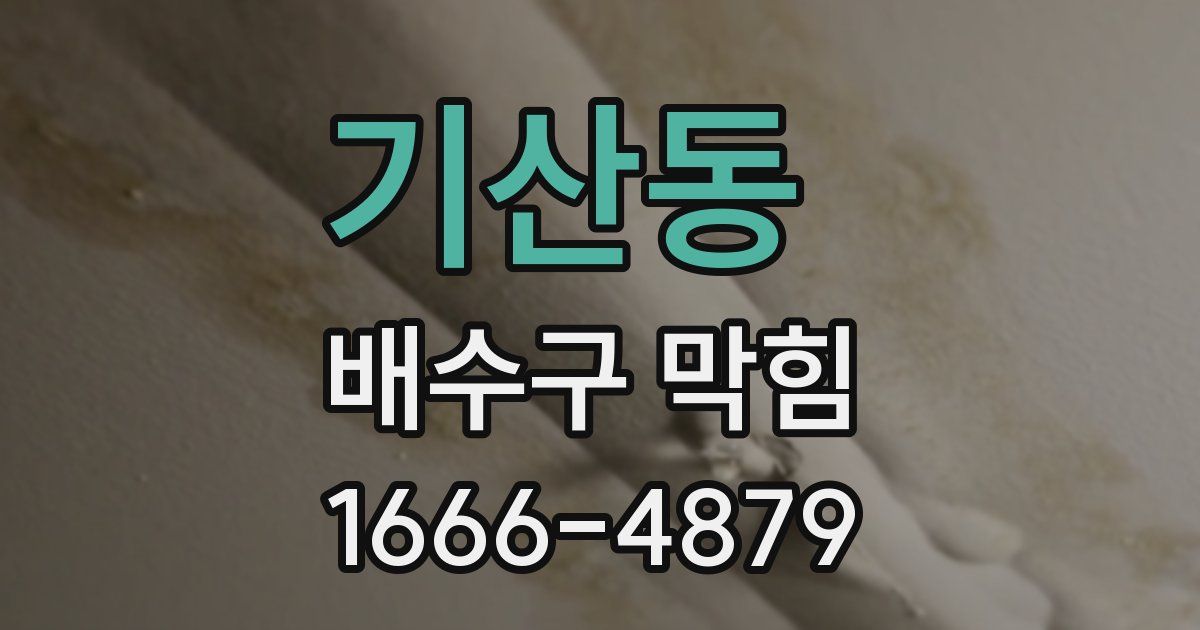 기산동 배수구 막힘